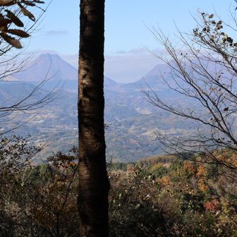 隙間から由布岳、鶴見岳