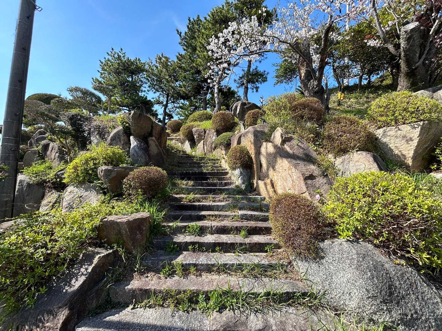 ニヤニヤしながら乃木山ピークは‥どこかなぁ