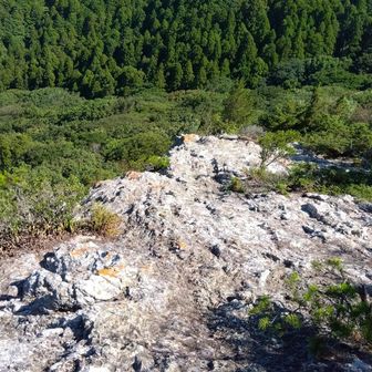 西テラス到着、やや強めではありましたが風が吹き上げてきて、火照った身体はすぐにクールダウン😃