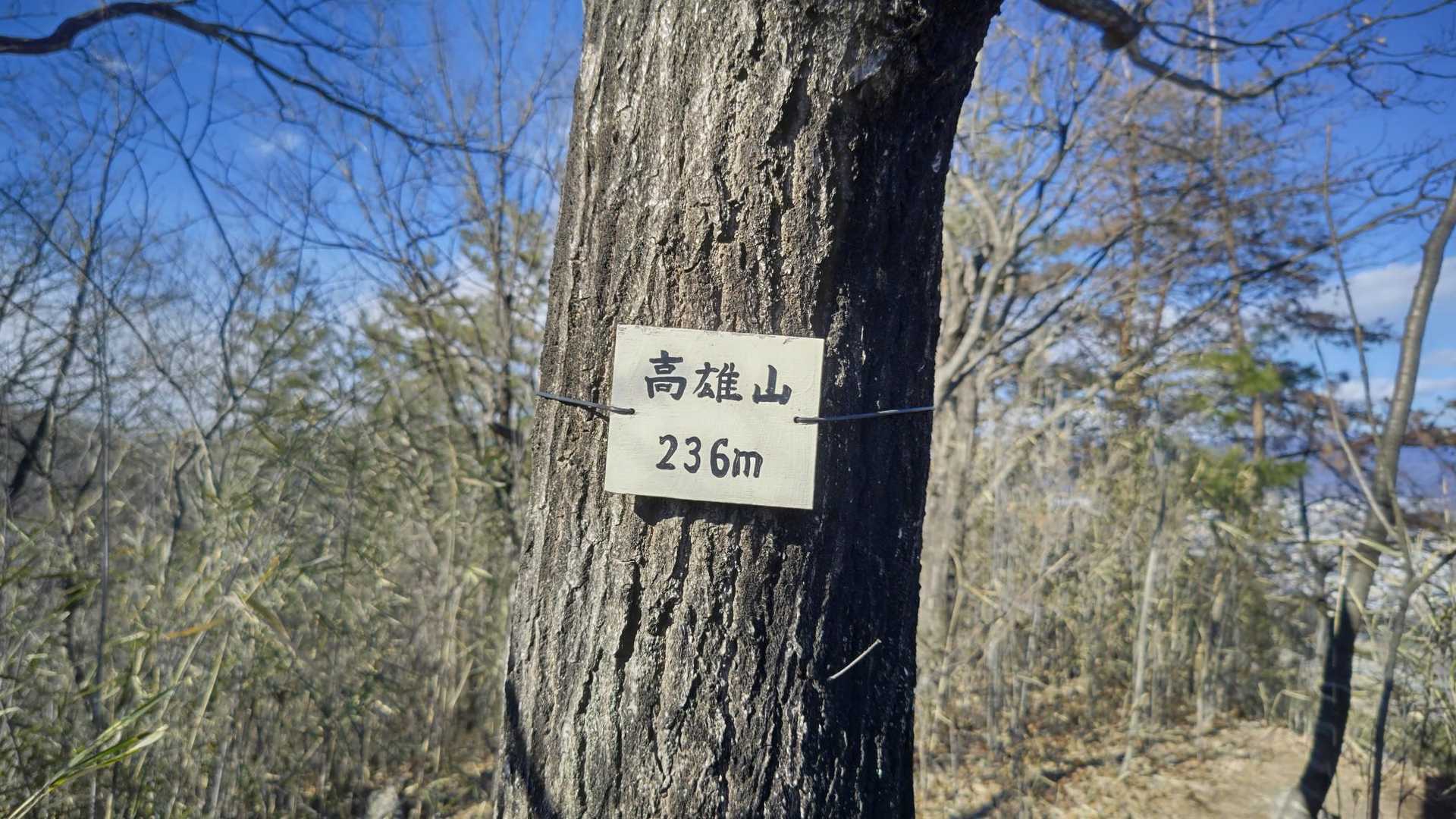 籾山峠-日向山-菅塩峠-高壷山-唐沢山 往復コースの写真
