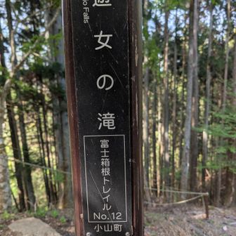 川べりまで下って登り返す気がおきず滝はパス。