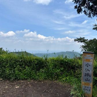 第二のピーク 城山
山頂は広く売店もありました🍜