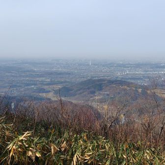 PLの塔が見える