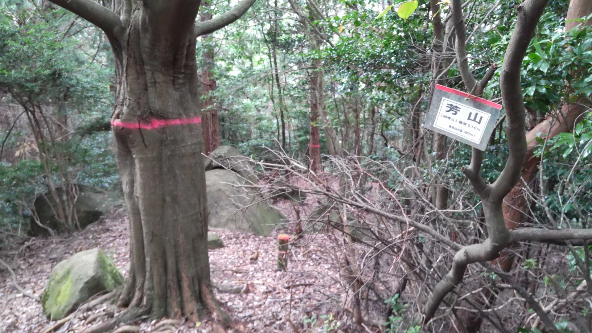 続いて芳山の山頂