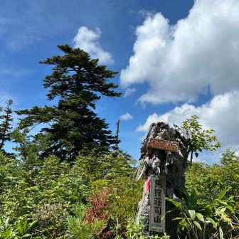 馬狩荘司山 山頂に到着。
この木札に気づかないと山頂とは思わず通り過ぎていたと思う。