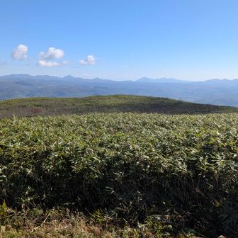 火口があるようです
