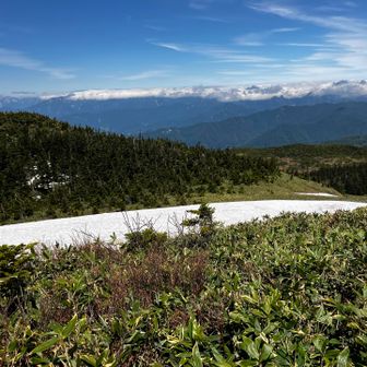 山頂からの眺望
この付近は霧がよくかかり、遠くからはそれが塔に見えたのが名の由来らしい