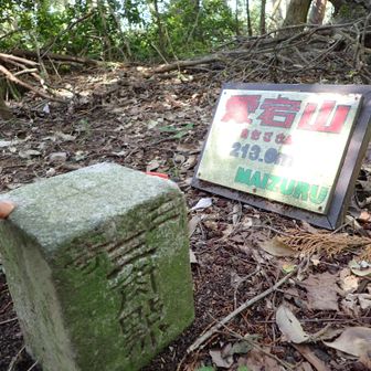 スギ林を歩き愛宕山、展望はなし