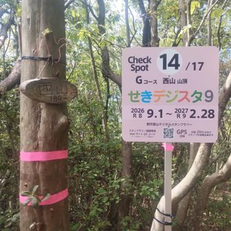 山友さんのペースが速くて、かなり遅れて到着