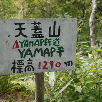 YAMAP平到着