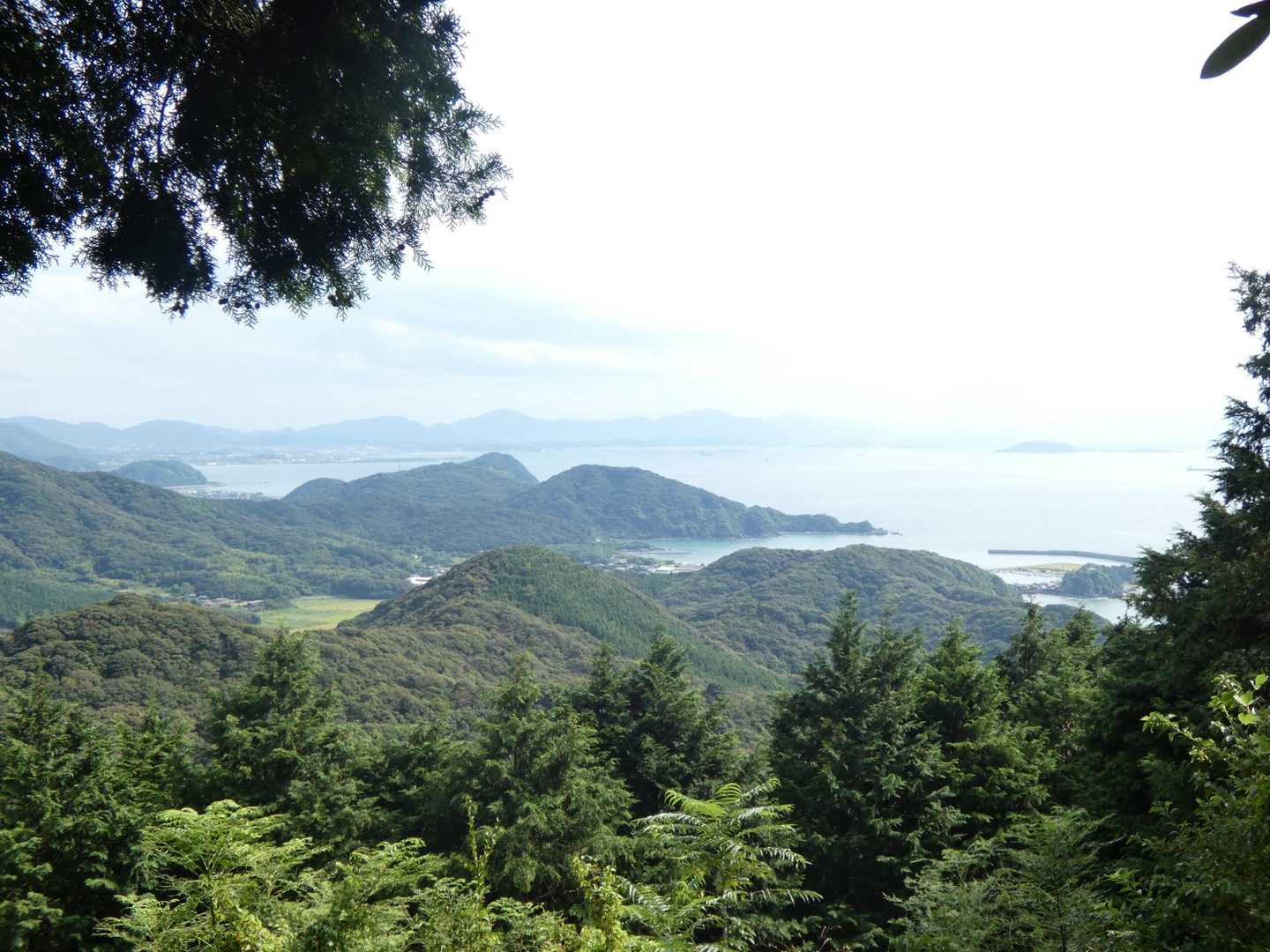 海が綺麗