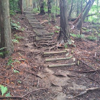 たまには上がる👣
うらめしや～👻