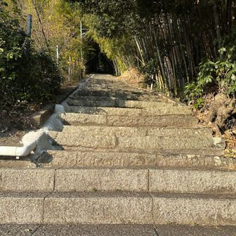 登り返し😭
3回目行きまーす