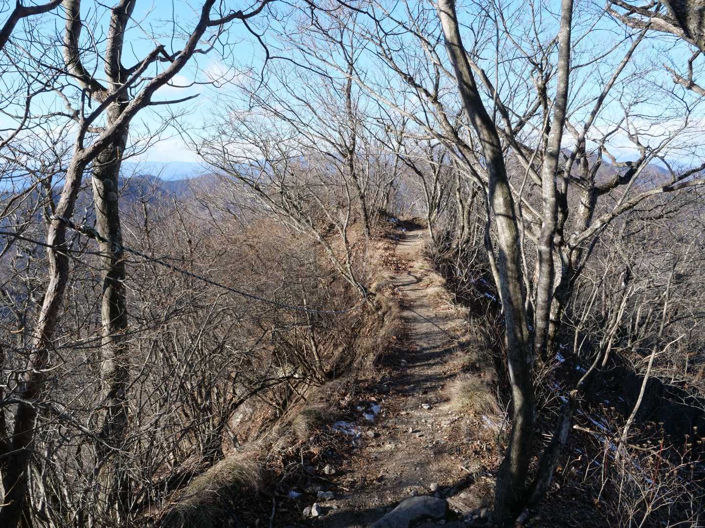 登山道は楽しめます♫😊
痩せ尾根もあったり😆