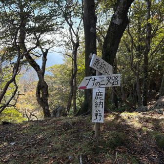 鹿納の野到着
ここから鹿納山までは厳しい道が続くようなのでここでしっかり休憩してから向かいます