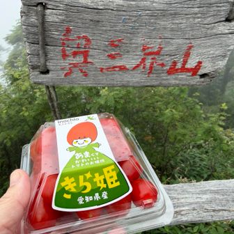 今日は愛知県産🍅