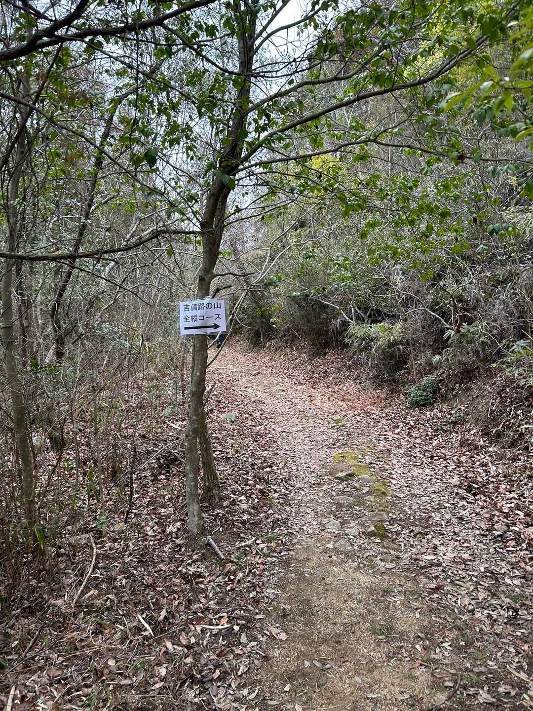 雰囲気の良い登山道