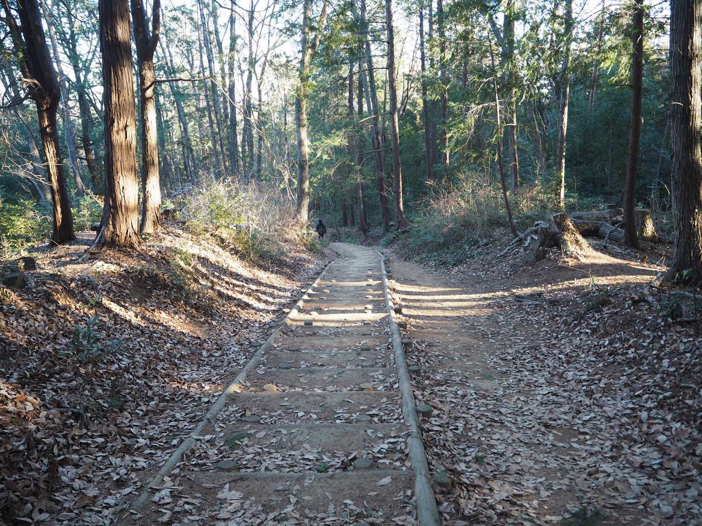ここが天覧山から多峯主山に向かう途中、一番ジャブのごとくに効いてくる「見返り坂」です。
下りは楽です(笑)