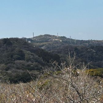 遥かなる大楠山へ登り返します