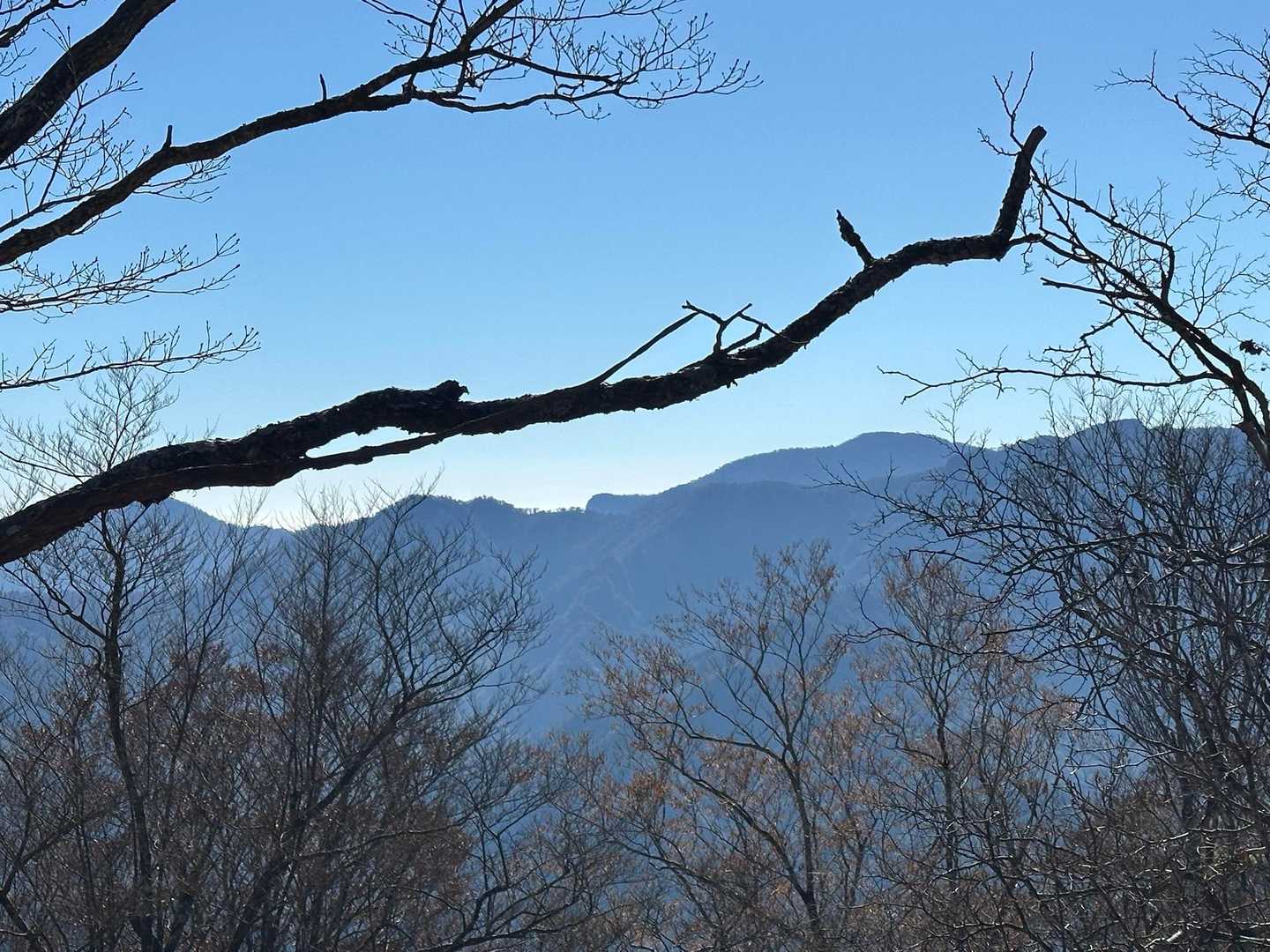 本当はこんなに小さく…😍