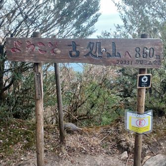 小雨が降り始めたから屏山縦走は断念して、あの岩場を避けて分岐まで迂回して安全なルートで下山しました