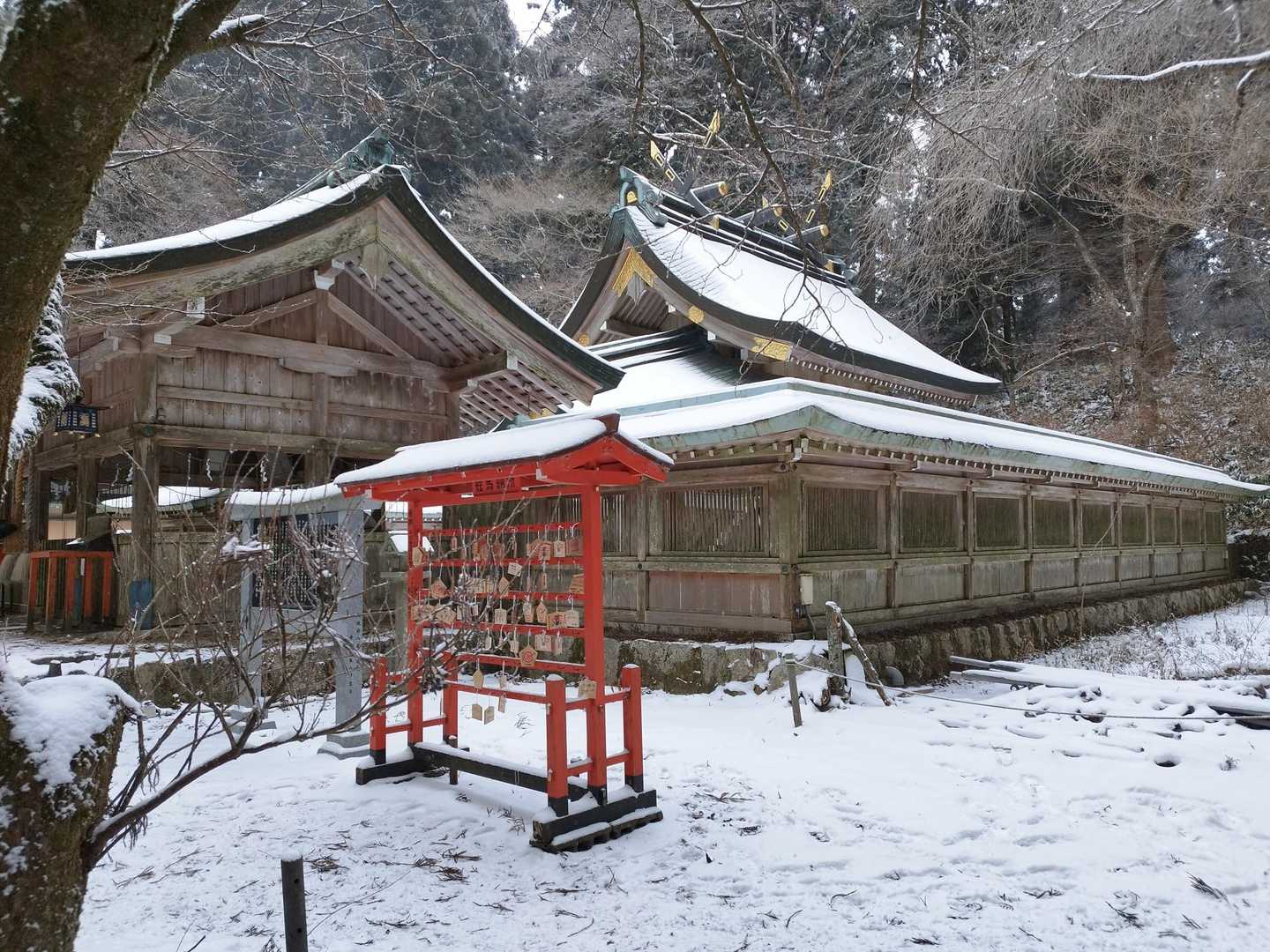 山のおもてなし｜千早本道から登る金剛山王道登山の写真
