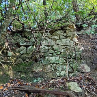 これも穴生積みかな。山が崩れちゃ、しょうがない、