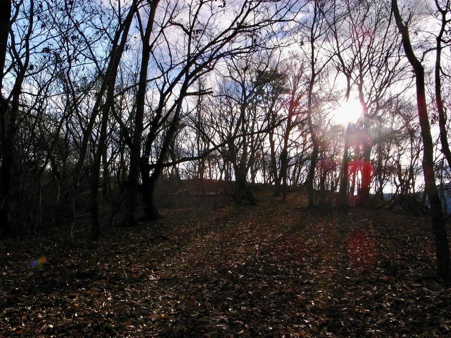 　何度、通ってもいい〜