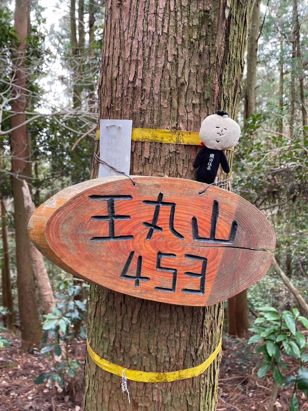 王丸山453m制覇じゃ‼️何も無い山だなオイ‼️