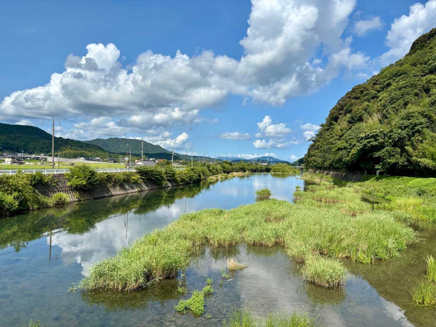 駐車場までの帰途、橋からパシャリ
少し歩くとカルガモ、鵜、鷺がくつろいでたが私に慄いて逃げた