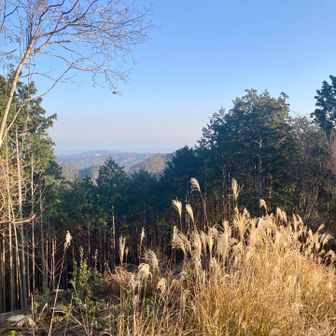 秋らしい風景🍂