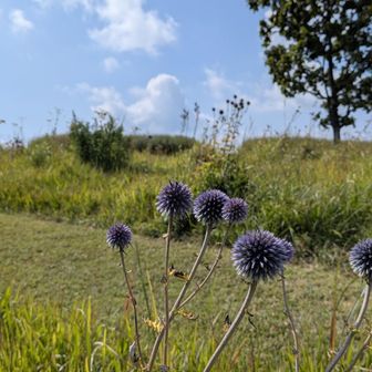 夏と秋が入れ替わろうとしている？
