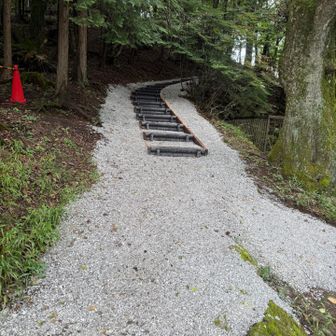 神社の裏手から山頂へ行く道が綺麗に整備されていた。先週来たときはなかったのに。ありがたいことです。