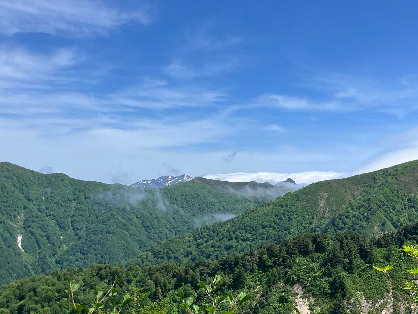 巻機とトンガリ大源太⛰️
