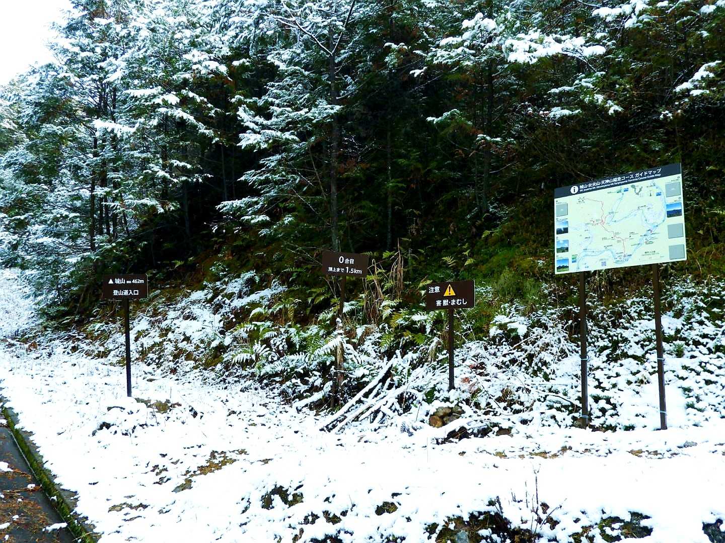 駐車場から10分ほどで登山口に到着😃