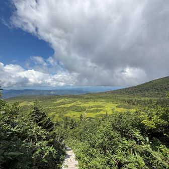 毛無岱湿原