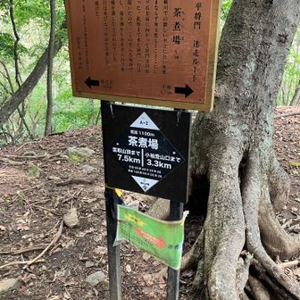平将門も飲んだのかな。迷走ルート😅