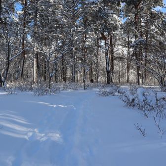 先日の雪で一の鳥居駐車場から登山口までのルートもしっかり雪に埋もれている。
冬靴＆アイゼン装備が必要。