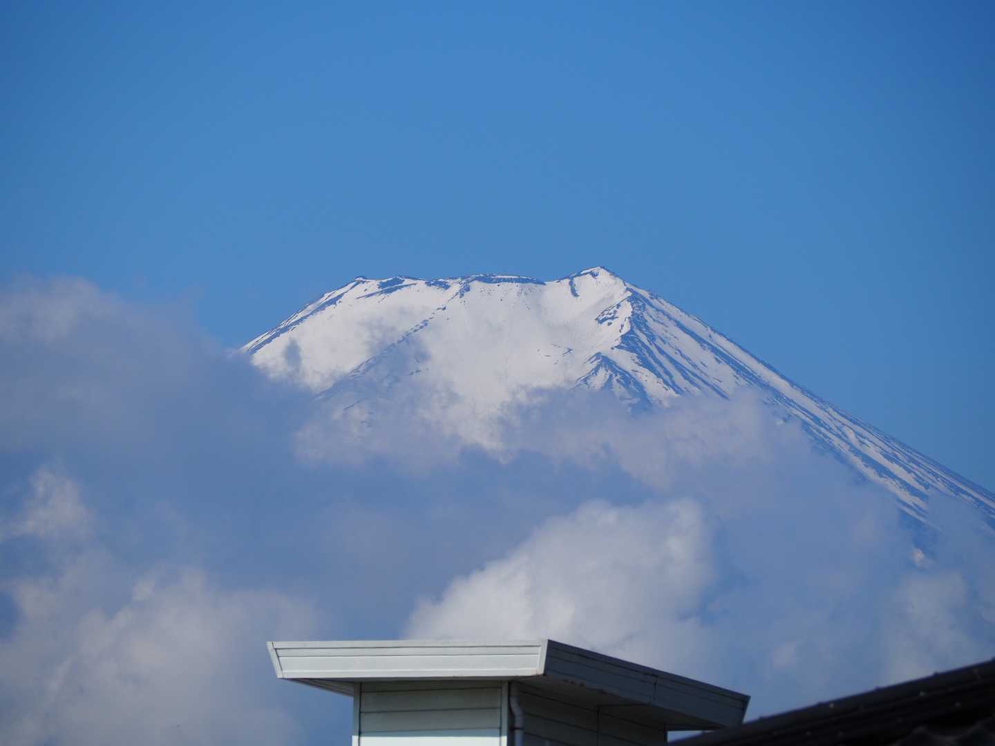 電車からは富士山見えて良かったなって思ってたのに、ここでこのような状態…😓