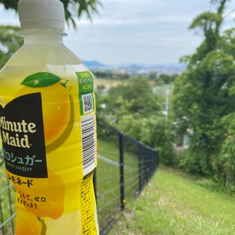 6月も心穏やかに過ごせますように…🍋