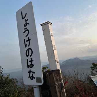 しょうけのはな着