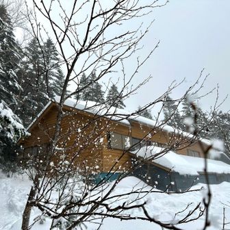 この時間から心身と雪が降ってきた