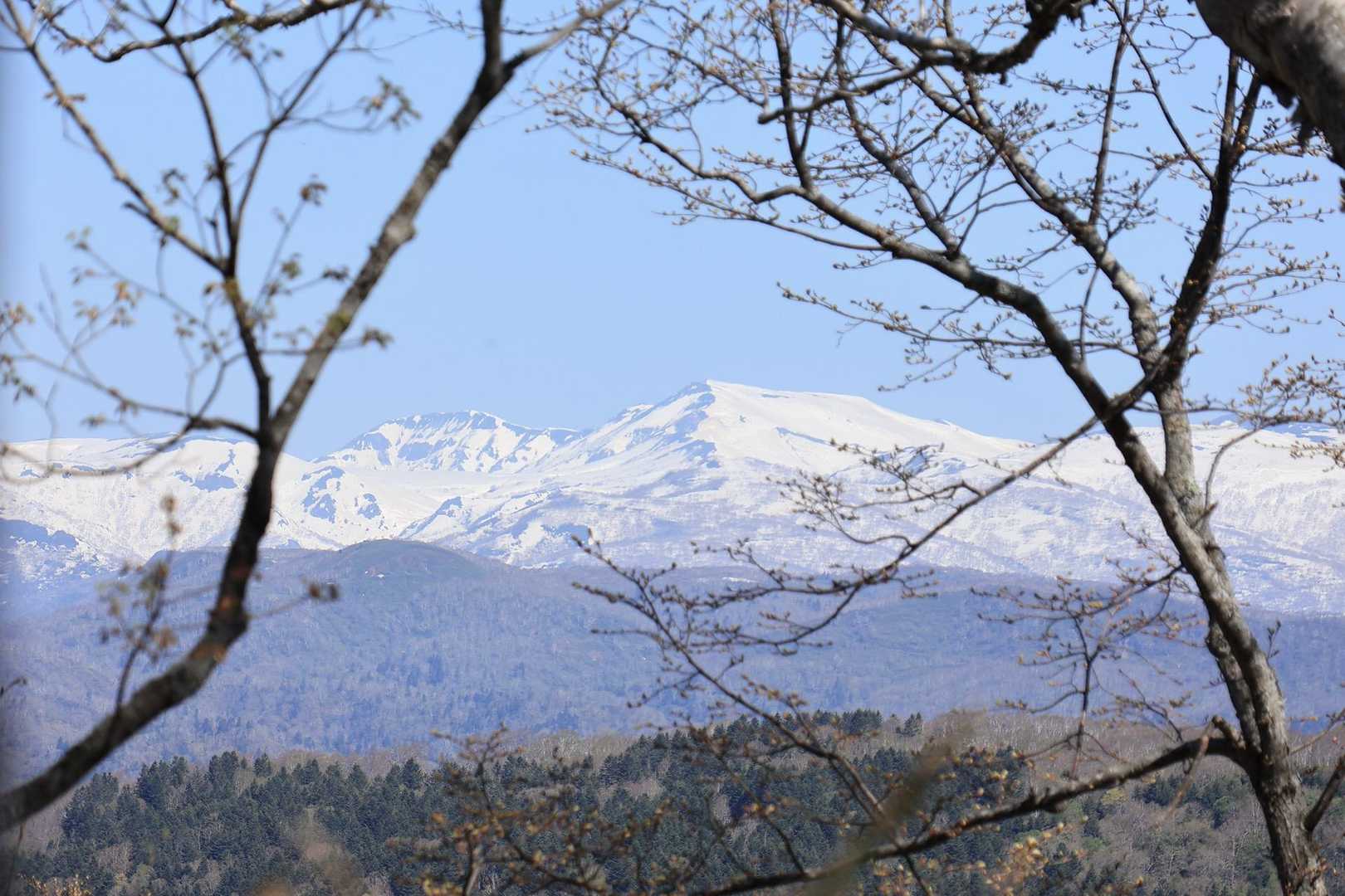 Bコース登山口-神居尻山-開拓台-Cコース登山口 周回コースの写真