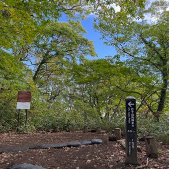 山頂まで4.2km