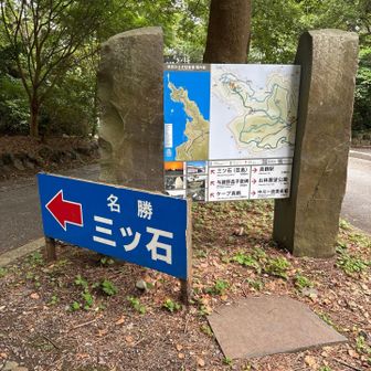 本日のスタート