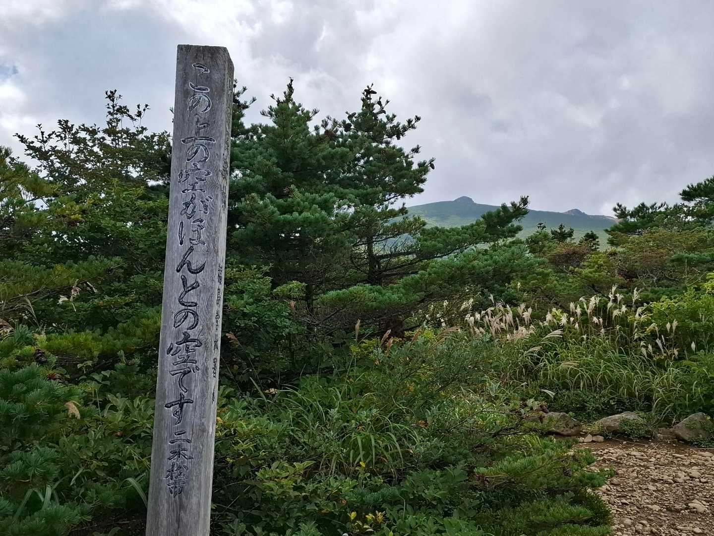 ほんとの空、見たかった！