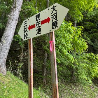 始まる。