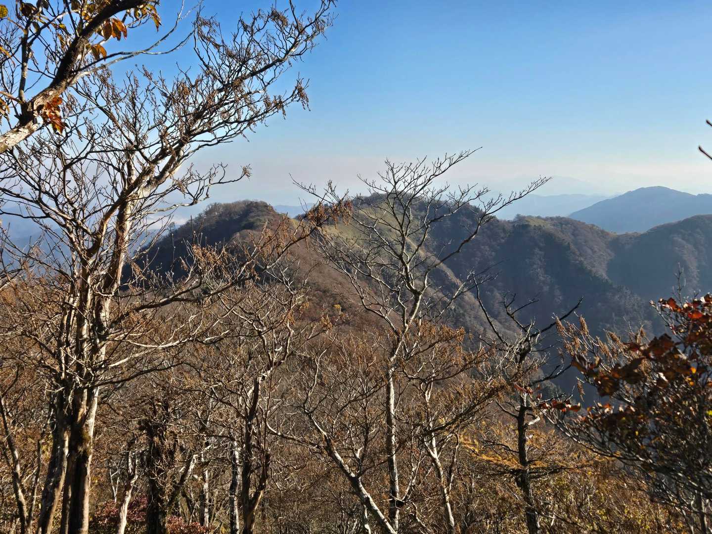 ここから最終の｢佐々連尾山｣が望めた。