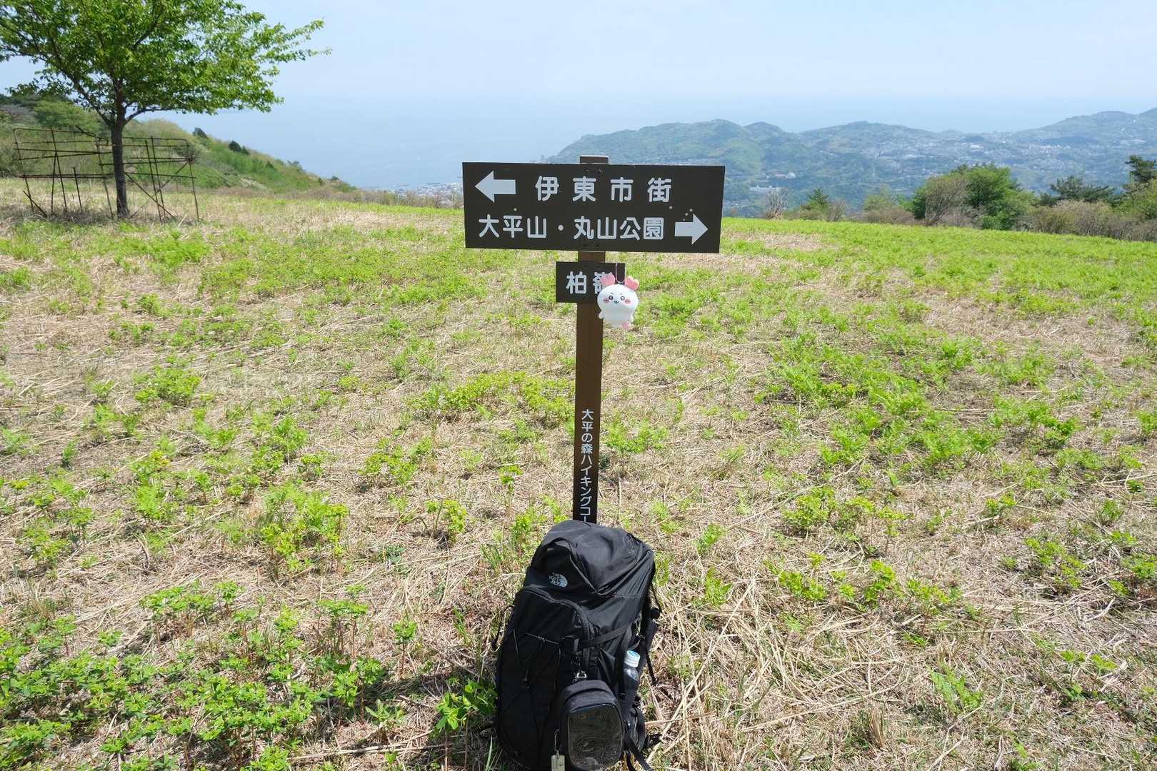 大平山-柏峠 縦走コースの写真