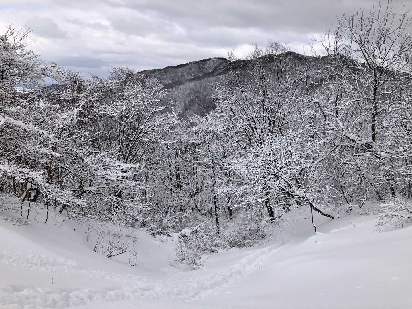 ヒュッテ前からの眺め